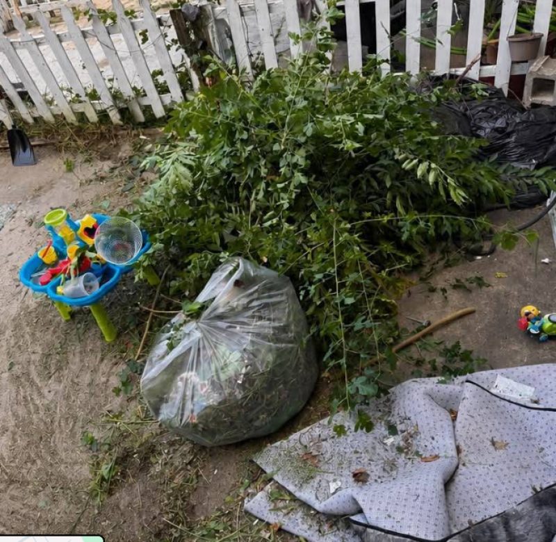 Cluttered backyard before Junkmaga cleanout